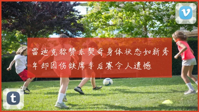 雷迪克称赞东契奇身体状态如新秀年却因伤缺席季后赛令人遗憾