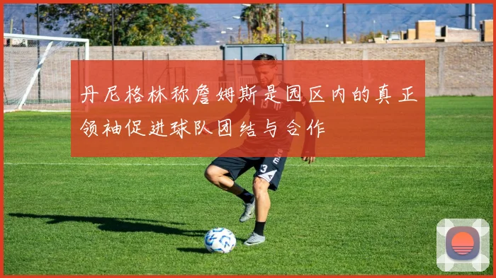 丹尼格林称詹姆斯是园区内的真正领袖促进球队团结与合作